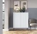 Комод высокий Perfect Home Новая/Nova 2-дверный с черными ножками K104 Белый фотография