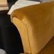 Крісло м'яке оксамитове MEBEL ELITE KLARIS 2 Velvet Гірчичий