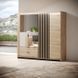 Шкаф полукупе Perfect Home Талли / Tally 4-дверный с зеркалом 4D2S/220 Дуб артизан/антрацит