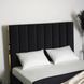 Ліжко двоспальне оксамитове MEBEL ELITE EMILIO Velvet 160x200 см Чорний