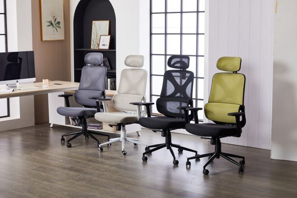Компьютерное кресло Level Light Grey Ergomix Светло Серый фотография
