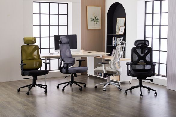 Компьютерное кресло Level Light Grey Ergomix Светло Серый фотография