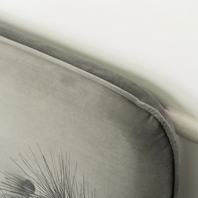 Кровать двуспальная бархатная MEBEL ELITE DENNIS Velvet 120x200 Светло Серый фотография
