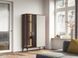 Витрина высокая с подсветкой Ланг/Lang 4-дверная 4D2W/100 Черный/дуб эвок Perfect Home Польша