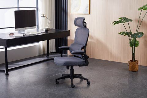 Компьютерное кресло Torso Grey Ergomix Серый фотография
